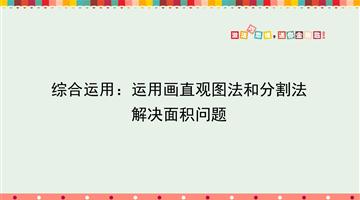 综合运用：运用画直观图法和分割法解决面积问题