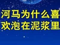 第40讲  河马为什么喜欢泡在泥浆里 