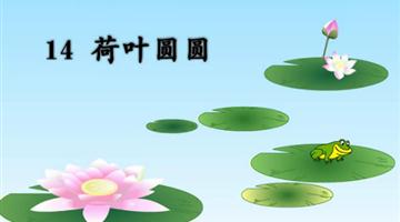 《荷叶圆圆》课文朗读动漫