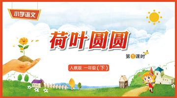 13《荷叶圆圆-1》教学PPT