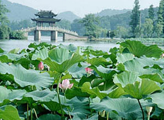 杭州西湖十景